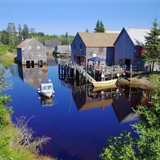 Seal Cove Beach Smokeshed Cottages