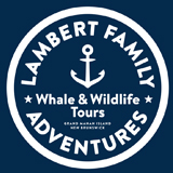 Lambert Family Adventures